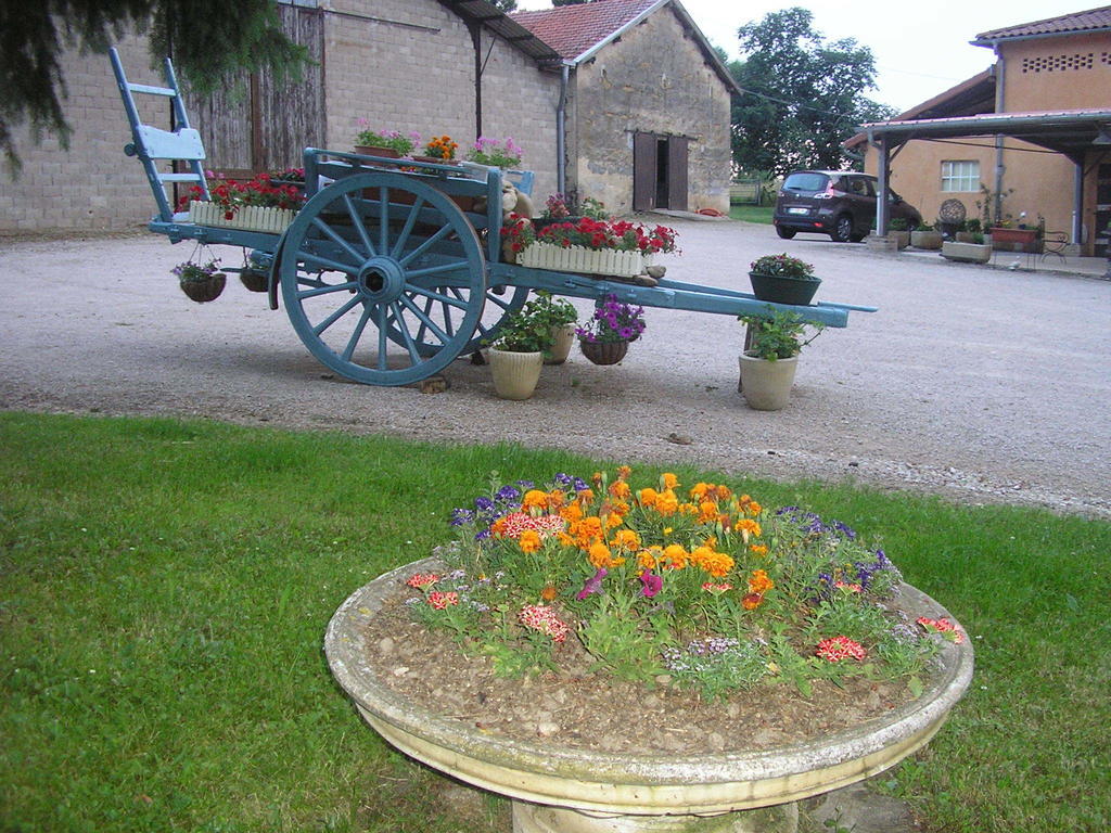 Hotel Domaine de la Bellière Villars-les-Dombes Esterno foto