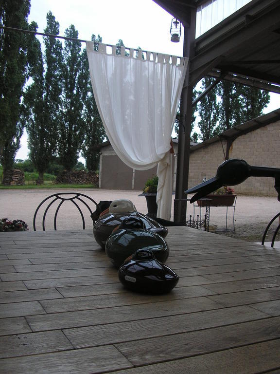 Hotel Domaine de la Bellière Villars-les-Dombes Esterno foto