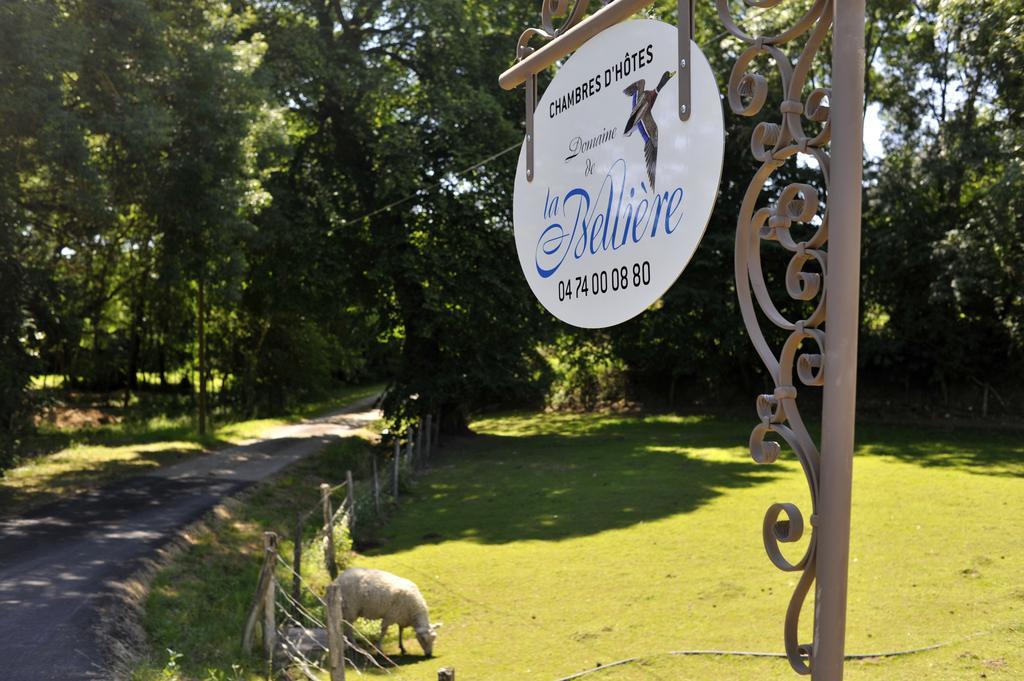 Hotel Domaine de la Bellière Villars-les-Dombes Esterno foto