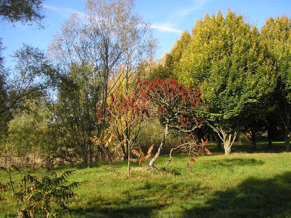 Hotel Domaine de la Bellière Villars-les-Dombes Esterno foto