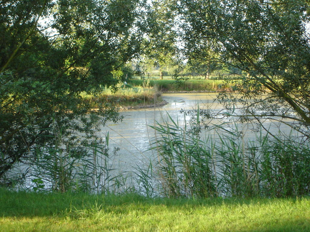 Hotel Domaine de la Bellière Villars-les-Dombes Esterno foto